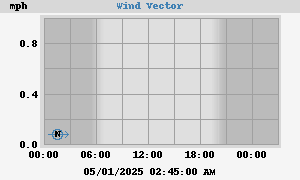 Wind Vector